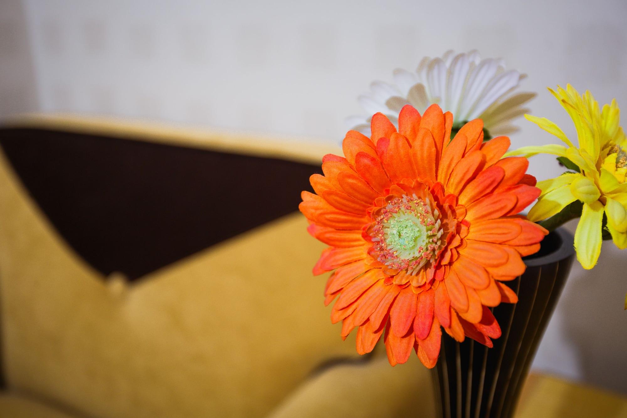 Menlo Park Inn Екстер'єр фото
